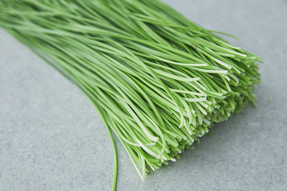 영양 부추 100g 상품 이미지