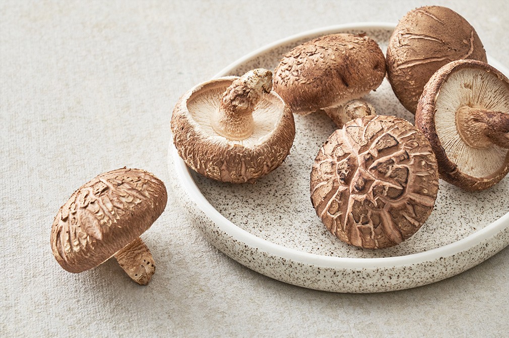 표고버섯 100g 상품 이미지