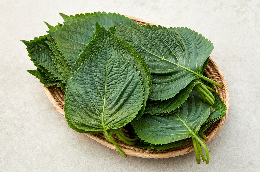 친환경 깻잎 100g 상품 이미지