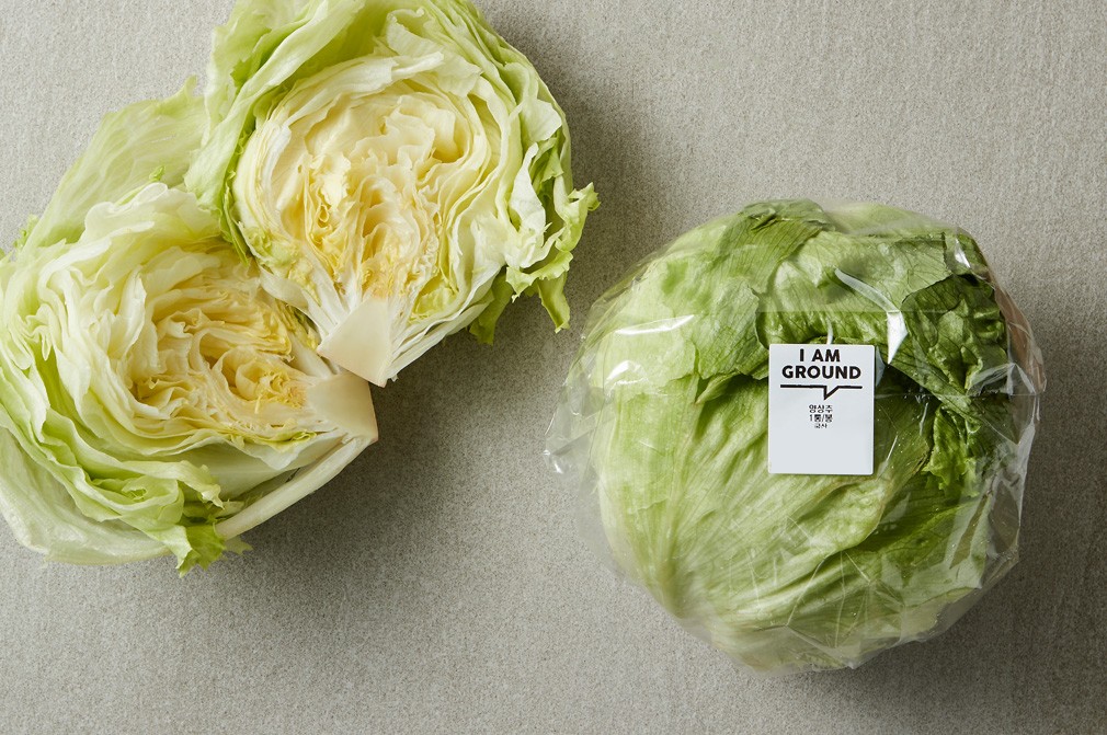 양상추 1입(200g) 상품 이미지