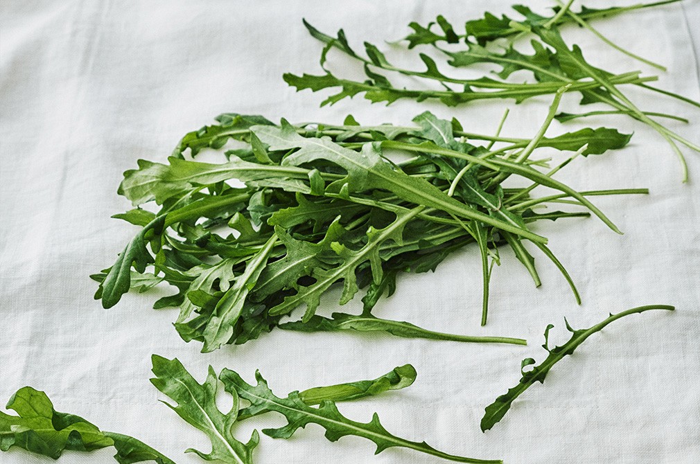 와일드 루꼴라 50g 상품 이미지