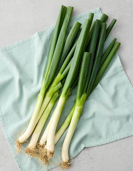 진도 대파 700g 상품 이미지